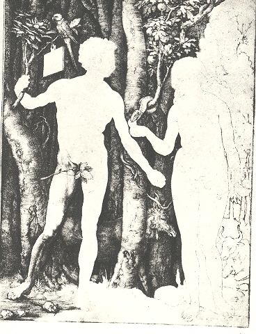 Blog--blank durer