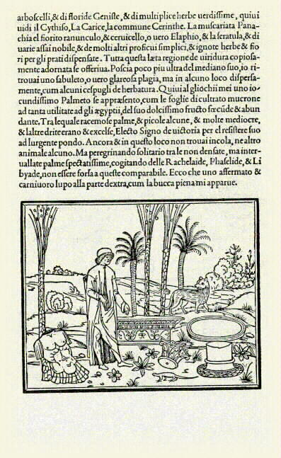Blog may 30 poliphilo dreams