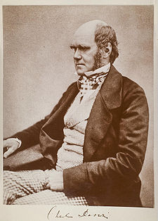 Darwin