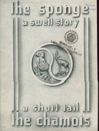 + story sponge