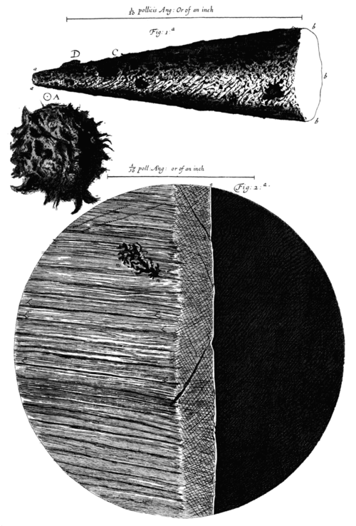 Hooke--needle