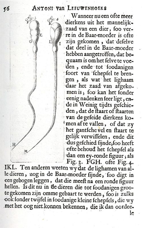 March 6 sperm leeuw