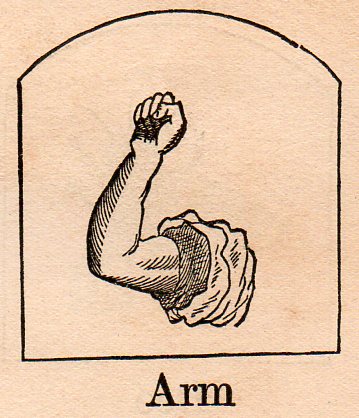 Alephbet--arm310