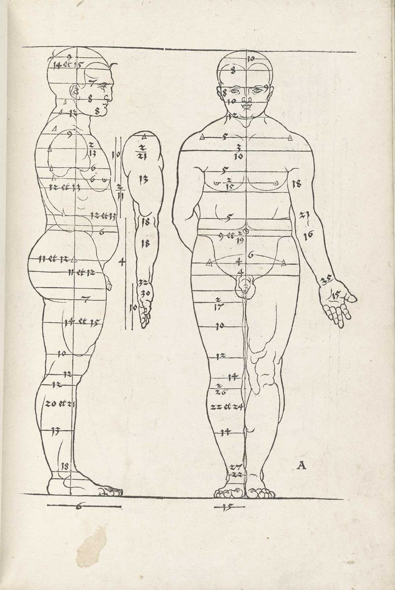 Maps human durer