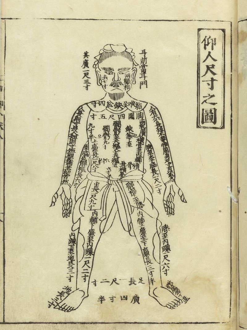 Human map hua_t01