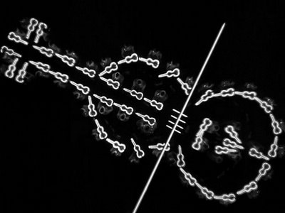 BusbyBerkeley