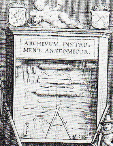 Adam skeleton tools390