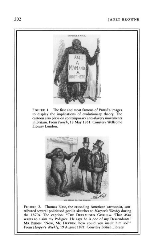 Darwin punch 18 may 1861