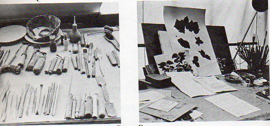 NStudio--braque550