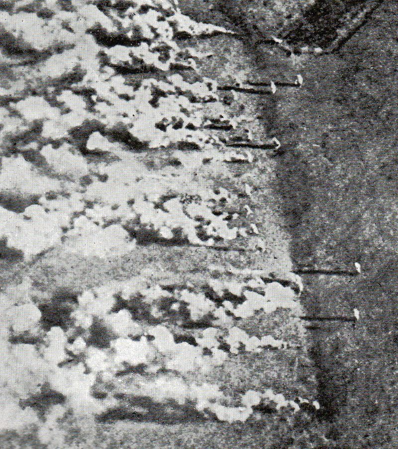 WWI--gas attack det b699