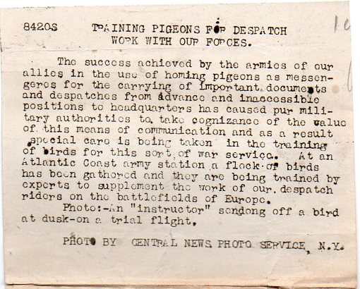 WWI--pigeoncc718