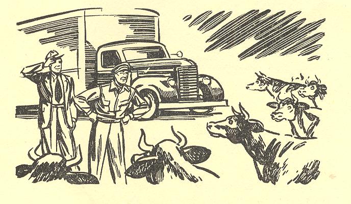 April 15 trucker 8