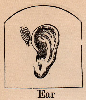 Alephbet--ear328