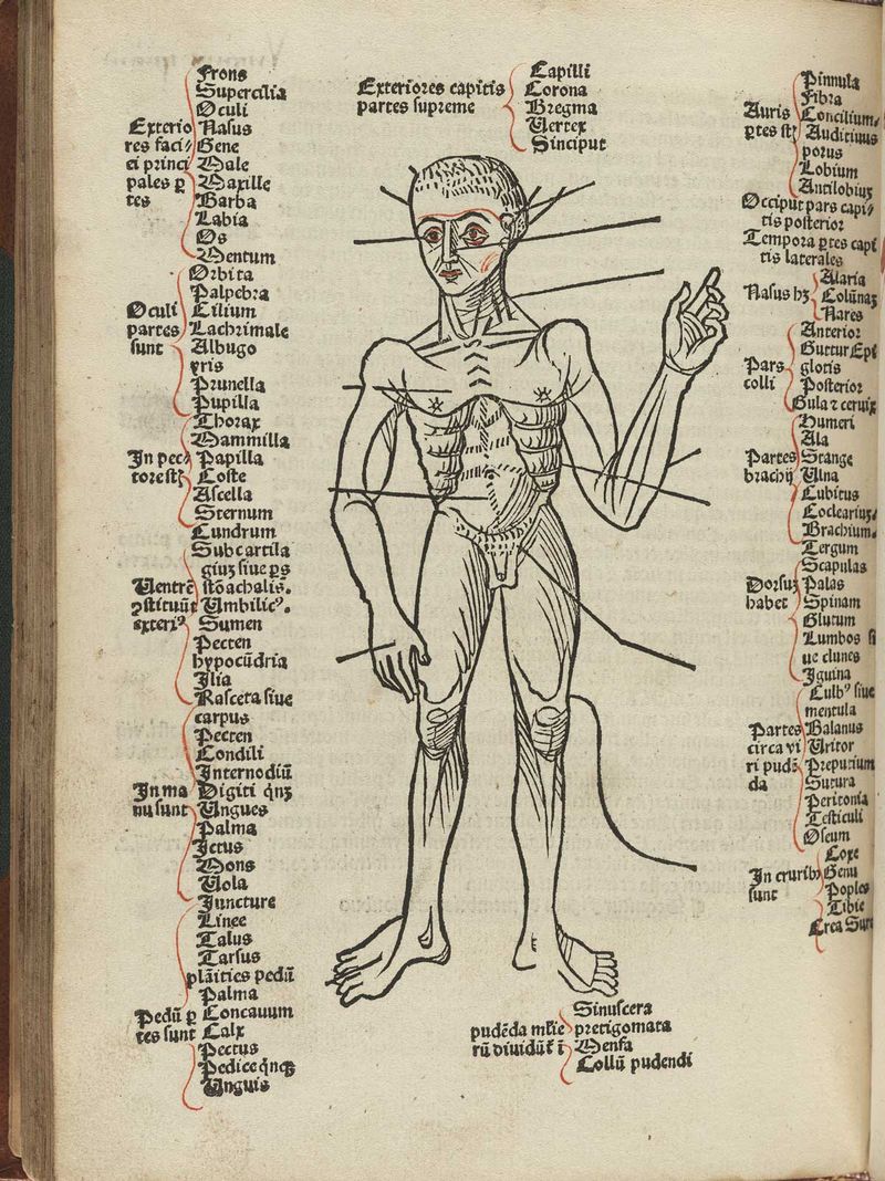 Human map hundt_p76