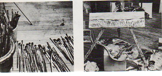 NStudio--braque551