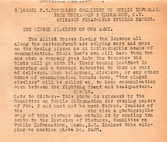 WWI--pigeonbb716