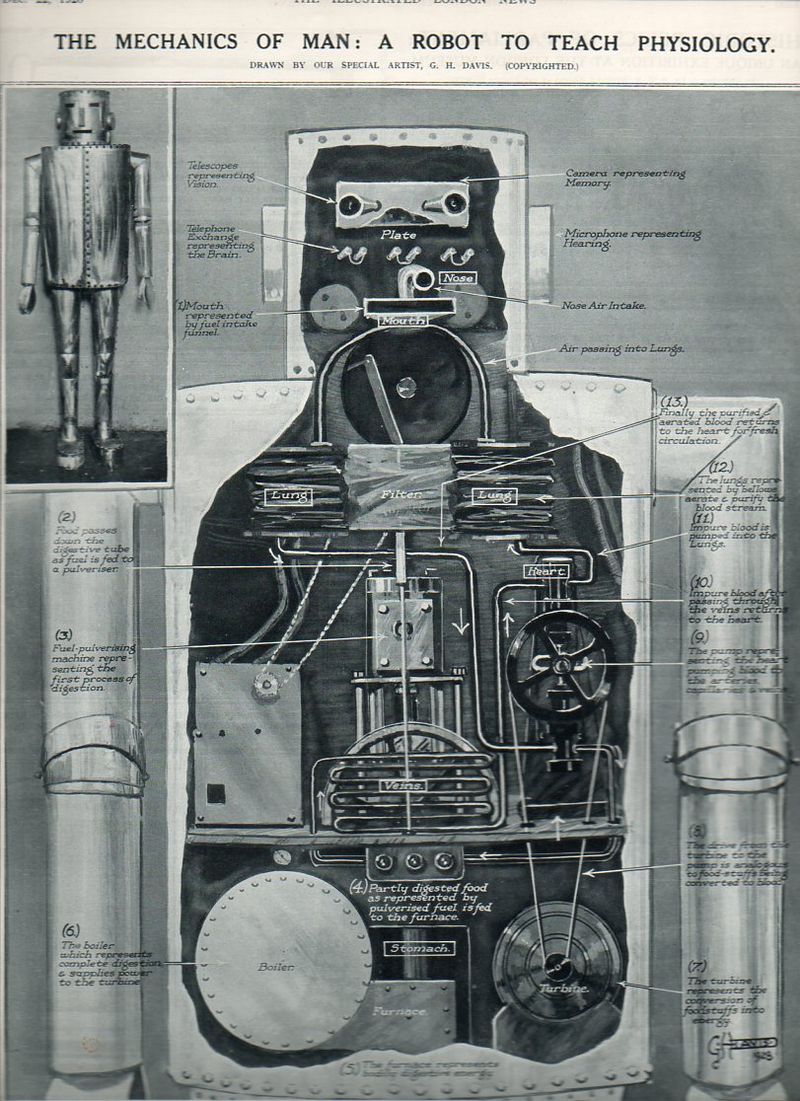 Robot steam816