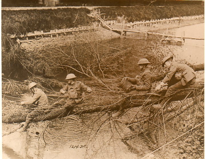 WWI photos--blowing up trees364