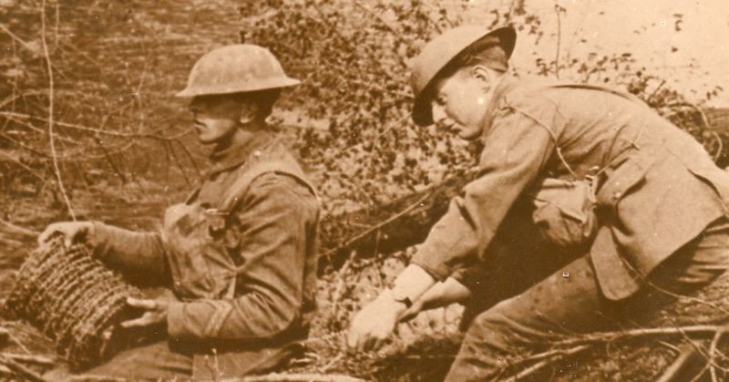 WWI photos--blowing up trees366