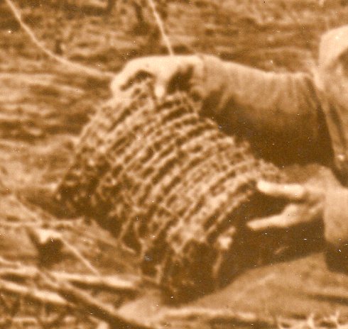 WWI photos--blowing up trees368