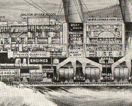 Cross section mauretannia139