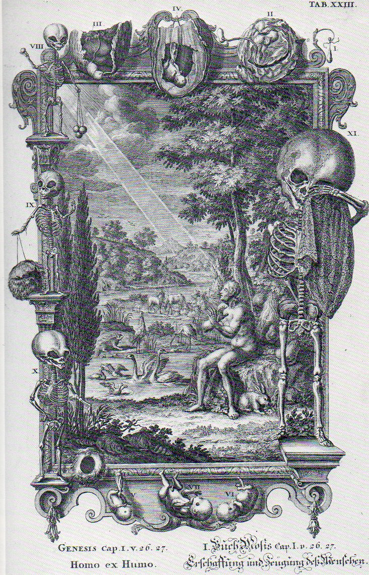 Baroque480