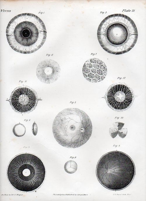 Dadaist senses eye 2507
