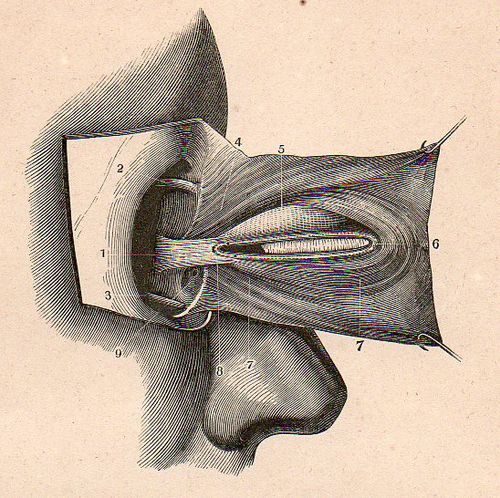 Dadaist senses eye 4509