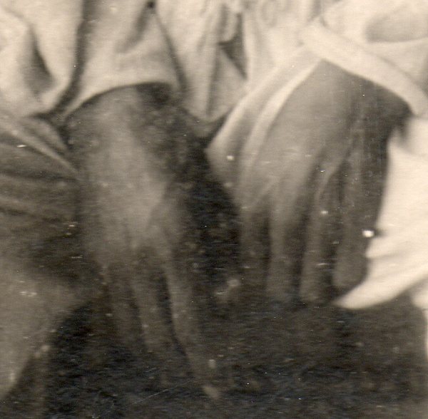 Faustino209