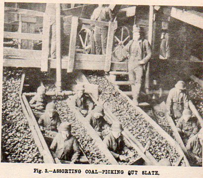 Coal boys229
