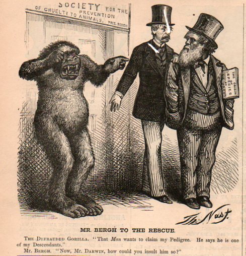 Darwin cartoon  bergh294