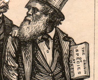 Darwin cartoon  bergh295