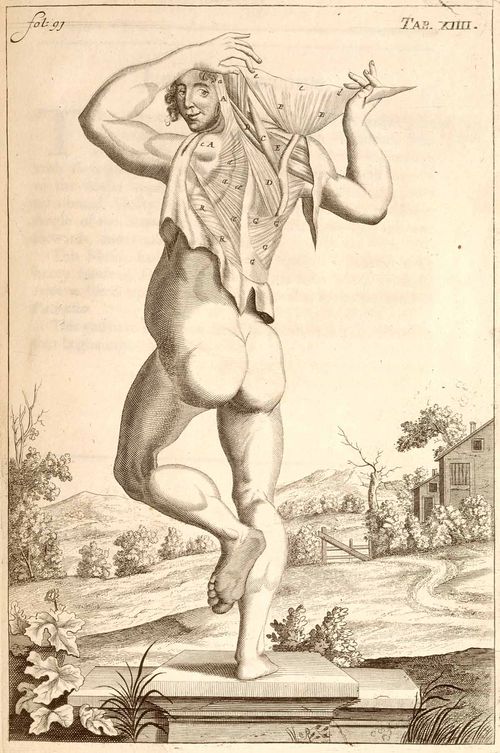 Anatomy john brown dancing
