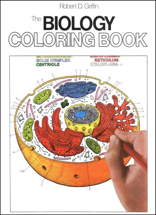 Coloring book anatomy b