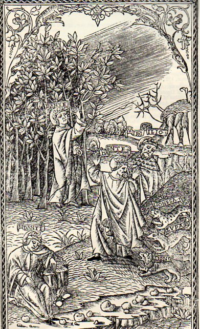 Clouds Dante903