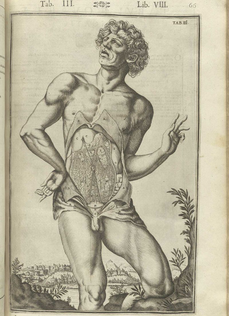 Casseri_p66  dandy