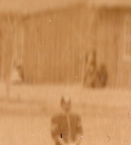 Plains photo972