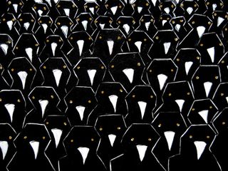 Crows