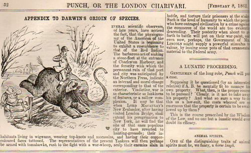 Darwin elephant392
