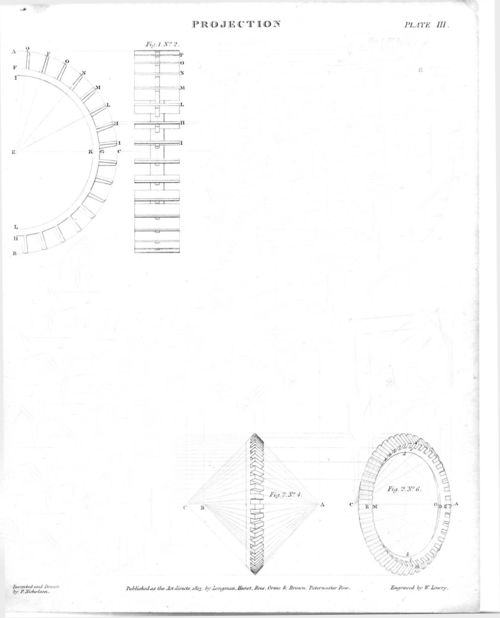 Bug projection599