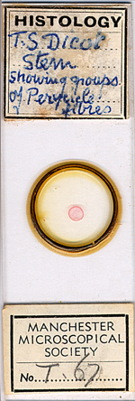 Microscope slide f