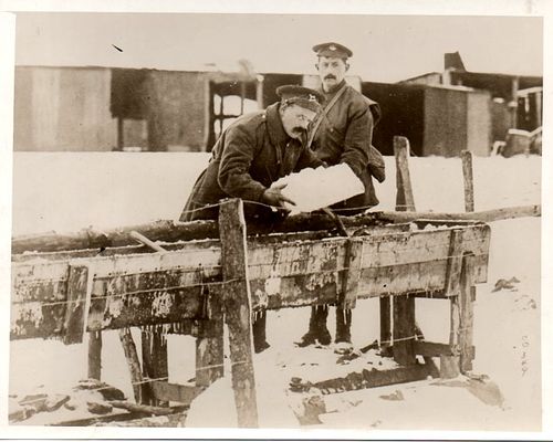WWI cold173