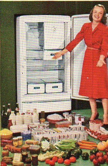 Food refrig968