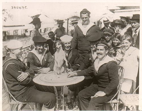 WWI--Doggie photo025