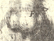 Mole map detail