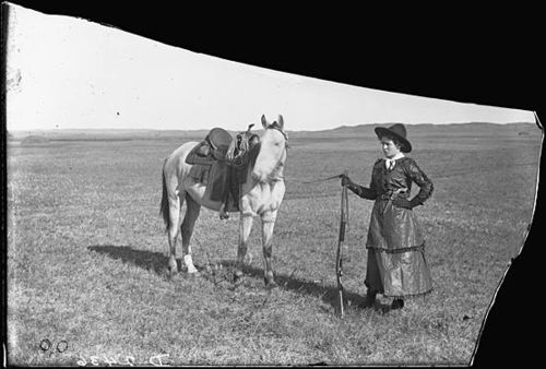 Butcher sadie austin
