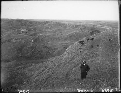Butcher devils gap