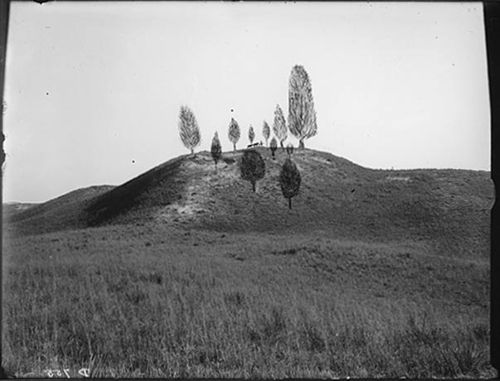 Butcher lookout