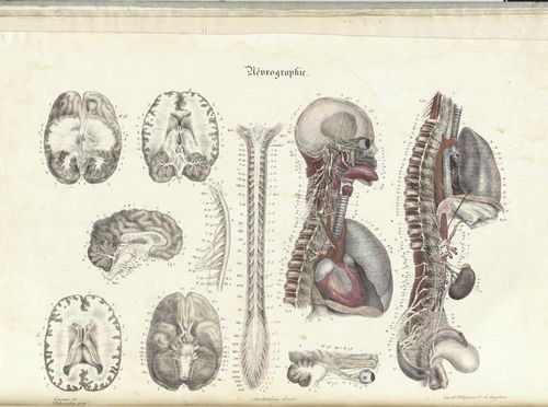 Old bones 2