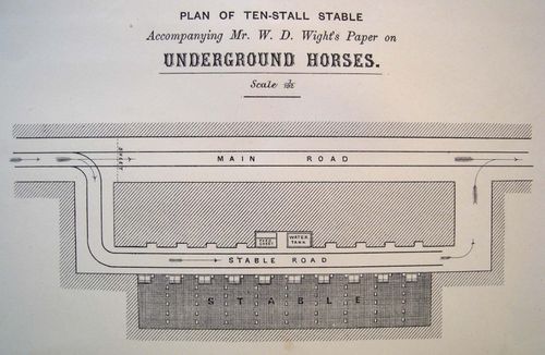 Underground horsdes